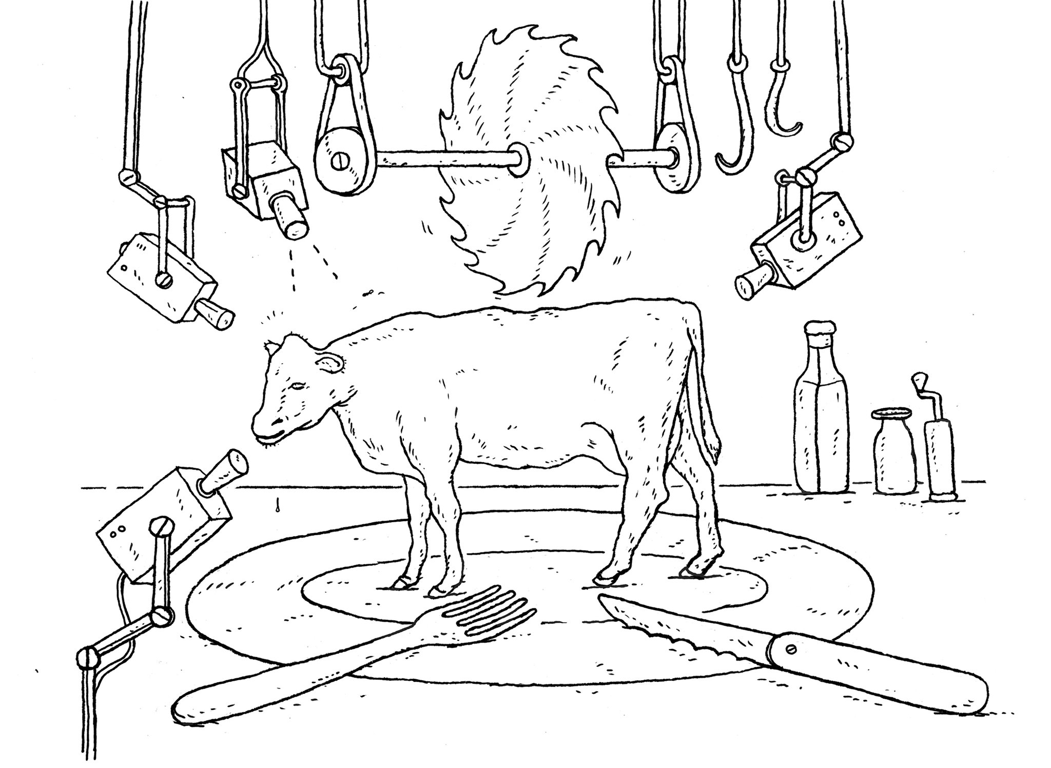 Jedediah Purdy, “Open the Slaughterhouses” (2013)