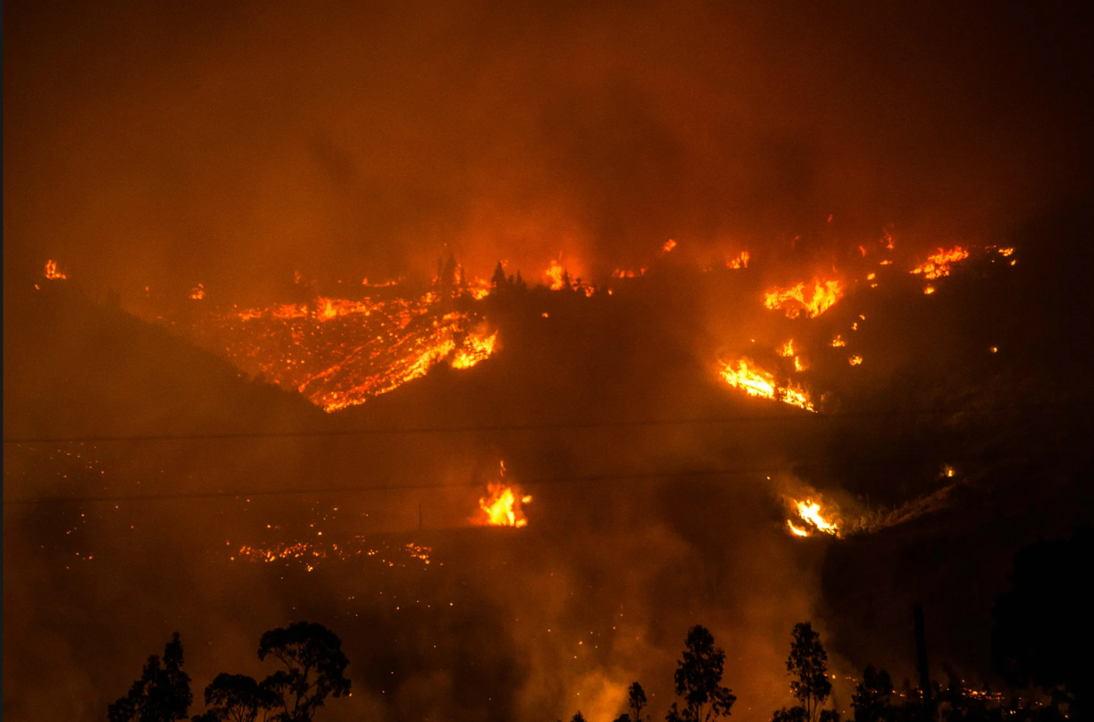Carlos Valenzuela, Mayor, on Wildfire in Santa Olga, Chile (2017)