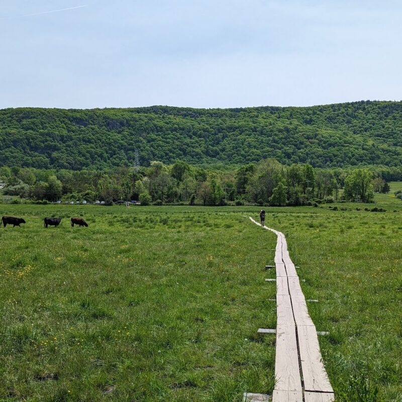 Beth Malchus Stafa via Travel.co