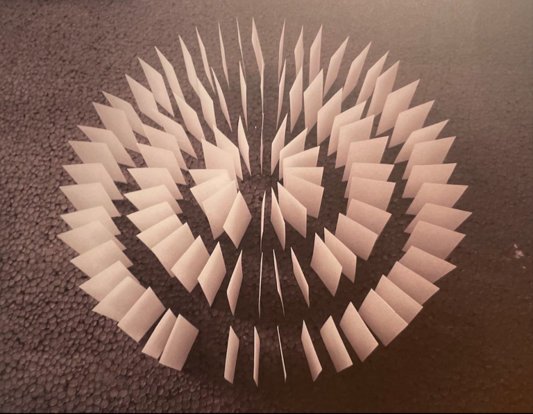 Maurice Pefura, The Silent Way (2013)
