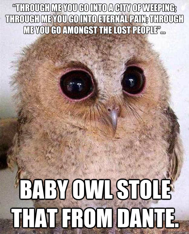 “Baby Owl Stole That From Dante” Meme