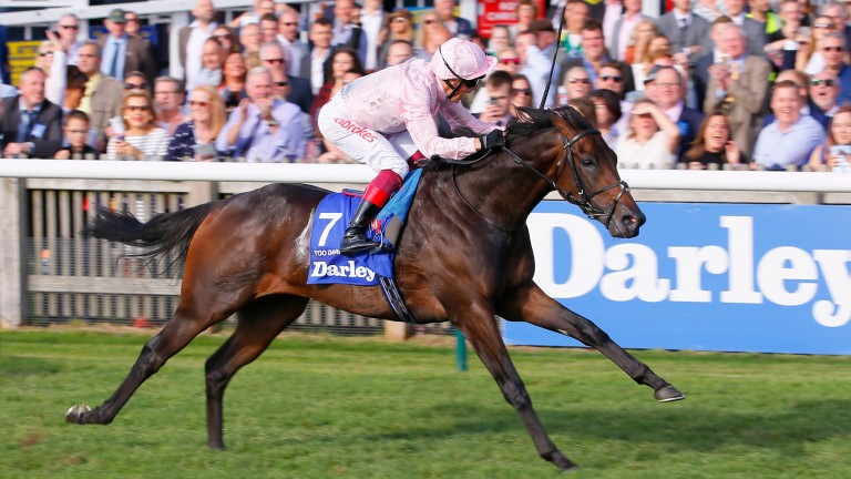 Lee Mottershead, “Dante inferno: essential insight as Too Darn Hot stars in sizzling Derby trial” (2019)