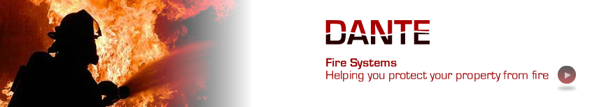 Dante Group Fire and Security Systems