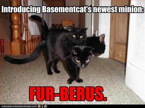 “Fur-Berus” Meme (Year Unknown)