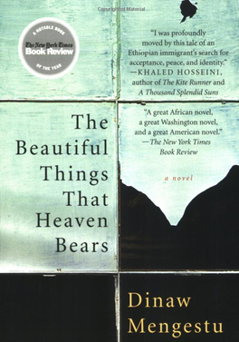 Dinaw Mengestu, The Beautiful Things That Heaven Bears (2007)