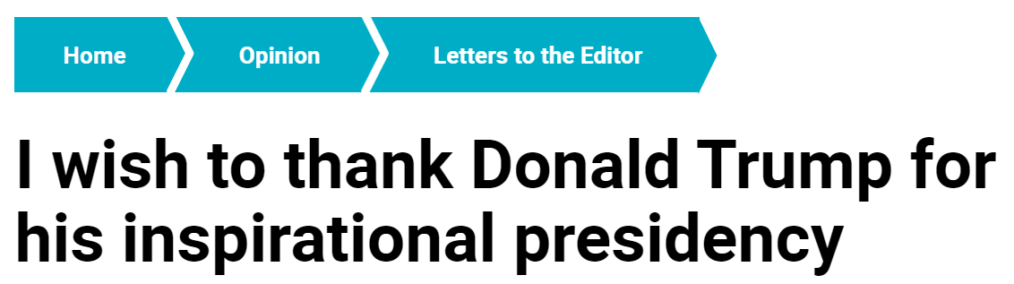 J.P. Curtis, “I Wish to Thank Donald Trump for His Inspirational Presidency” (2020)