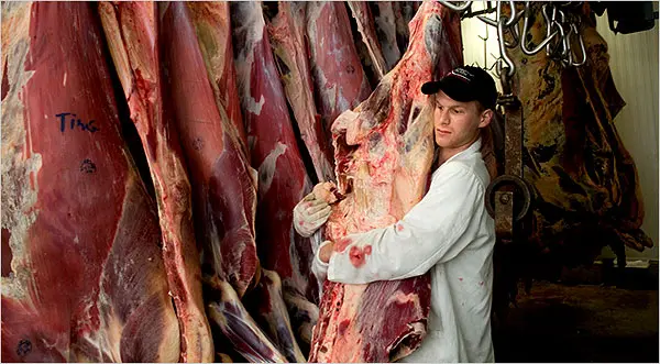 Kim Severson, “Young Idols With Cleavers Rule the Stage” (2009)