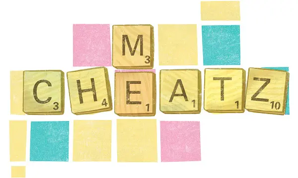 Michelle Slatalla, “Caught in the Deceit of the Web” (2009)