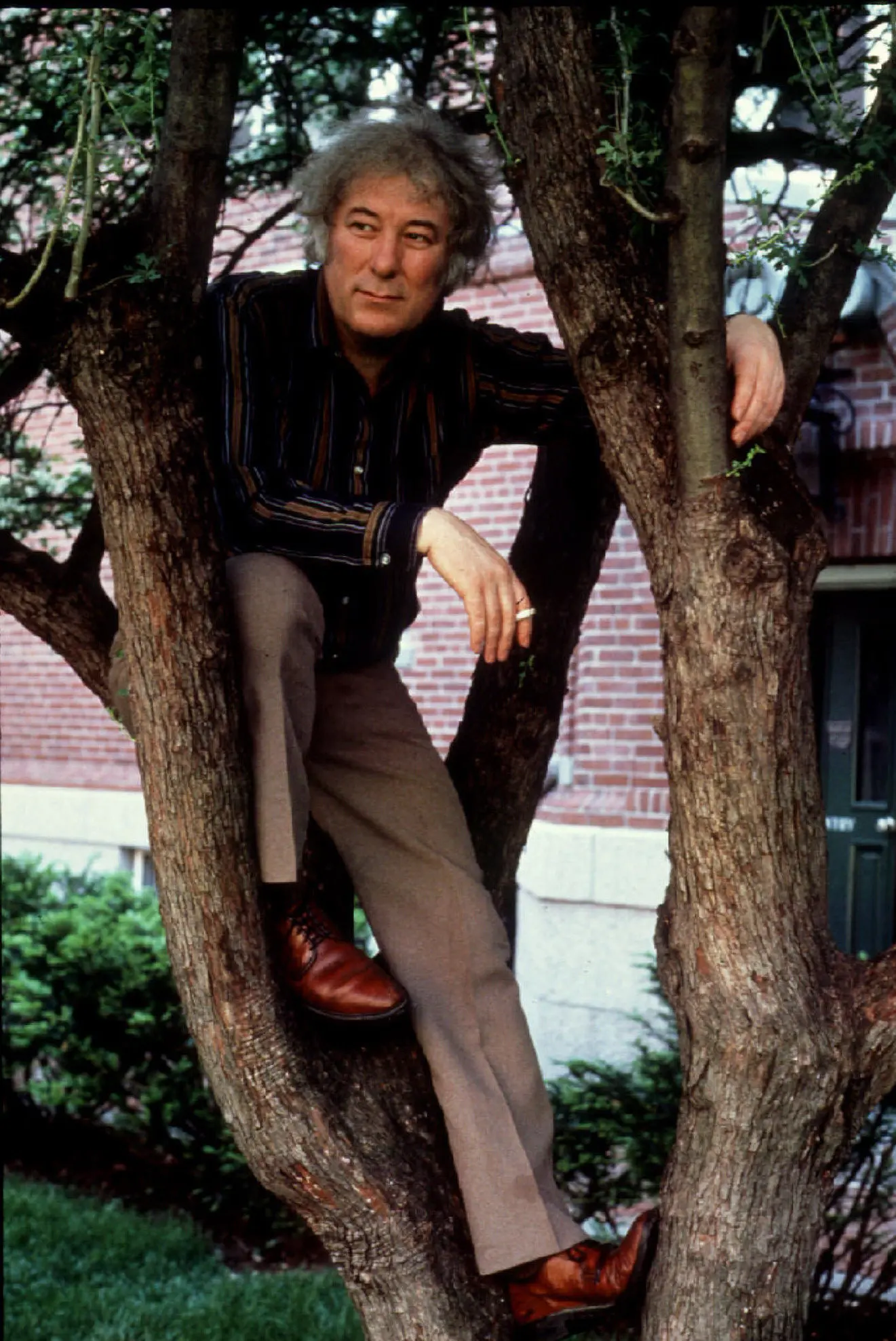 Seamus Heaney, “Staten Island” (1984)