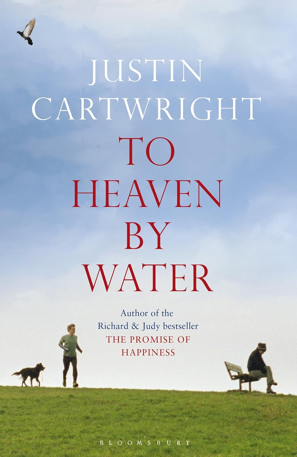 Justin Cartwright, To Heaven by Water (2009)